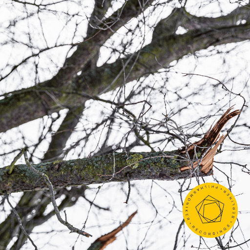 韩国啦啦队美女性爱视频
